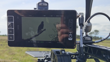 location rapace shooting photo. Intégrez des rapaces majestueux à vos tournages, shootings photo, clips publicitaires ou films dans les grandes villes de France – Paris, Lyon, Marseille, Toulouse, Lille, Bordeaux, Nice – et dans les studios de cinéma. Nos