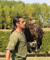 Stage fauconnerie à Lyon, Dijon, Mâcon et Bourgogne : découvrez l’art des rapaces en vol libre et vivez une expérience inoubliable